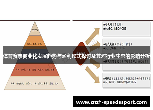 体育赛事商业化发展趋势与盈利模式探讨及其对行业生态的影响分析