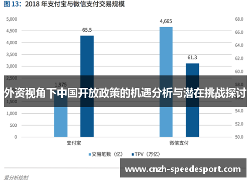 外资视角下中国开放政策的机遇分析与潜在挑战探讨