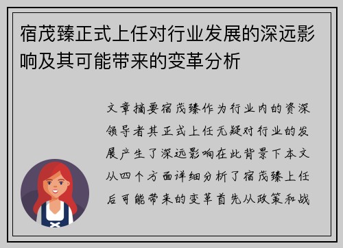 宿茂臻正式上任对行业发展的深远影响及其可能带来的变革分析