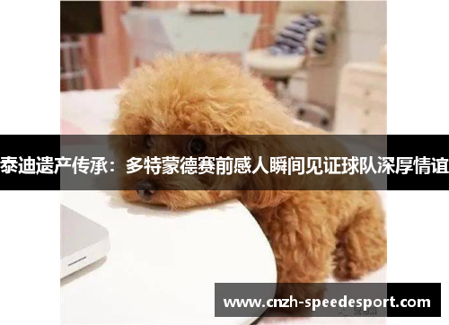泰迪遗产传承:多特蒙德赛前感人瞬间见证球队深厚情谊 泰迪遗产传承:多特蒙德赛前感人瞬间见证球队深厚情谊