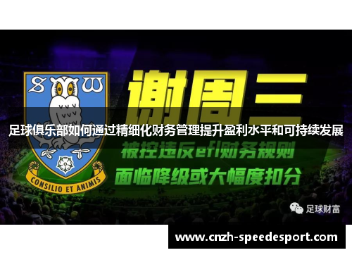 足球俱乐部如何通过精细化财务管理提升盈利水平和可持续发展 足球俱乐部如何通过精细化财务管理提升盈利水平和可持续发展